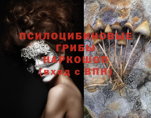 крисы Навашино