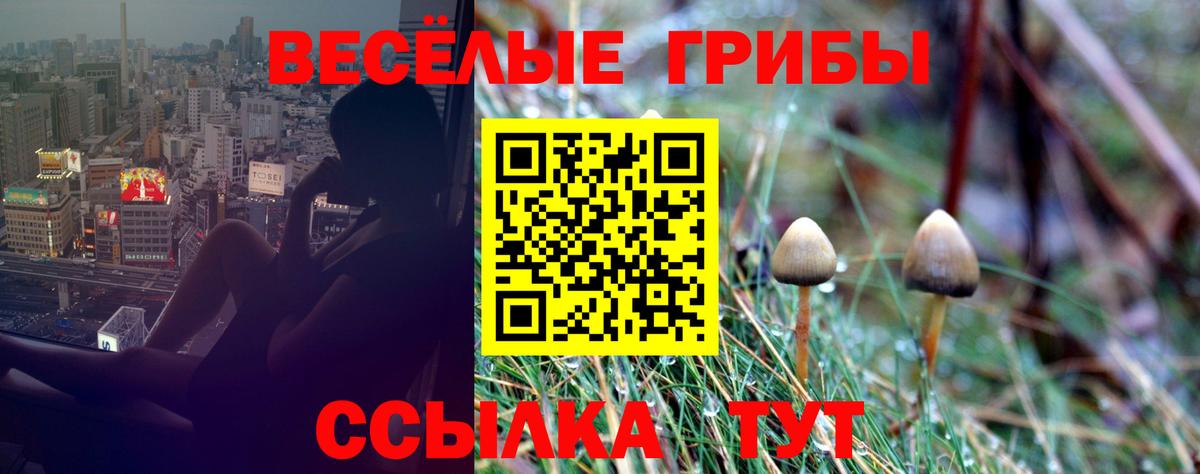 Псилоцибиновые грибы MAGIC MUSHROOMS Нягань