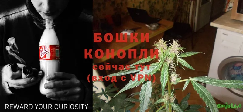 МАРИХУАНА LSD WEED  блэк спрут ссылка  Нягань  купить наркотик 